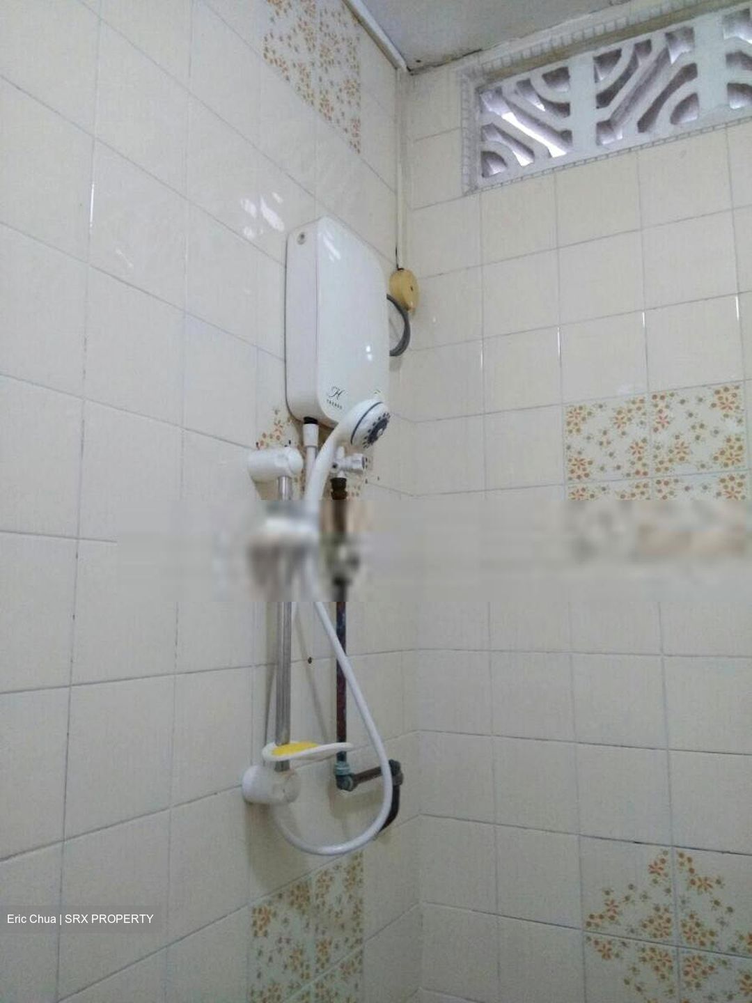 Sembawang Springs Estate (D27), Semi-Detached #399605471